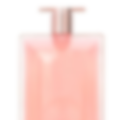 Ido.le L. | 100ml |